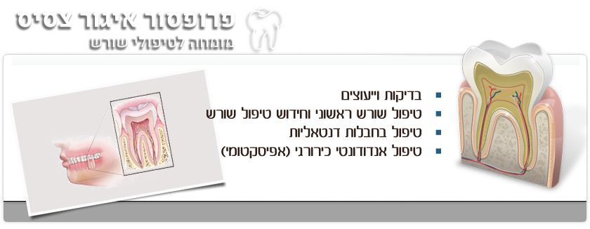 דוקטור איגור צסיס - מומחה לטיפולי שורש. בדיקות וייעוצים; טיפול שורש ראשוני וחידוש טיפול שורש; טיפול בחבלות דנטאליות; טיפול אנדודונטי כירורגי (אפסיקטומי).